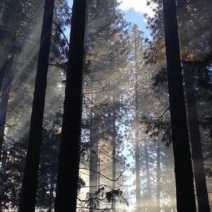 Meet your Posher, Andy